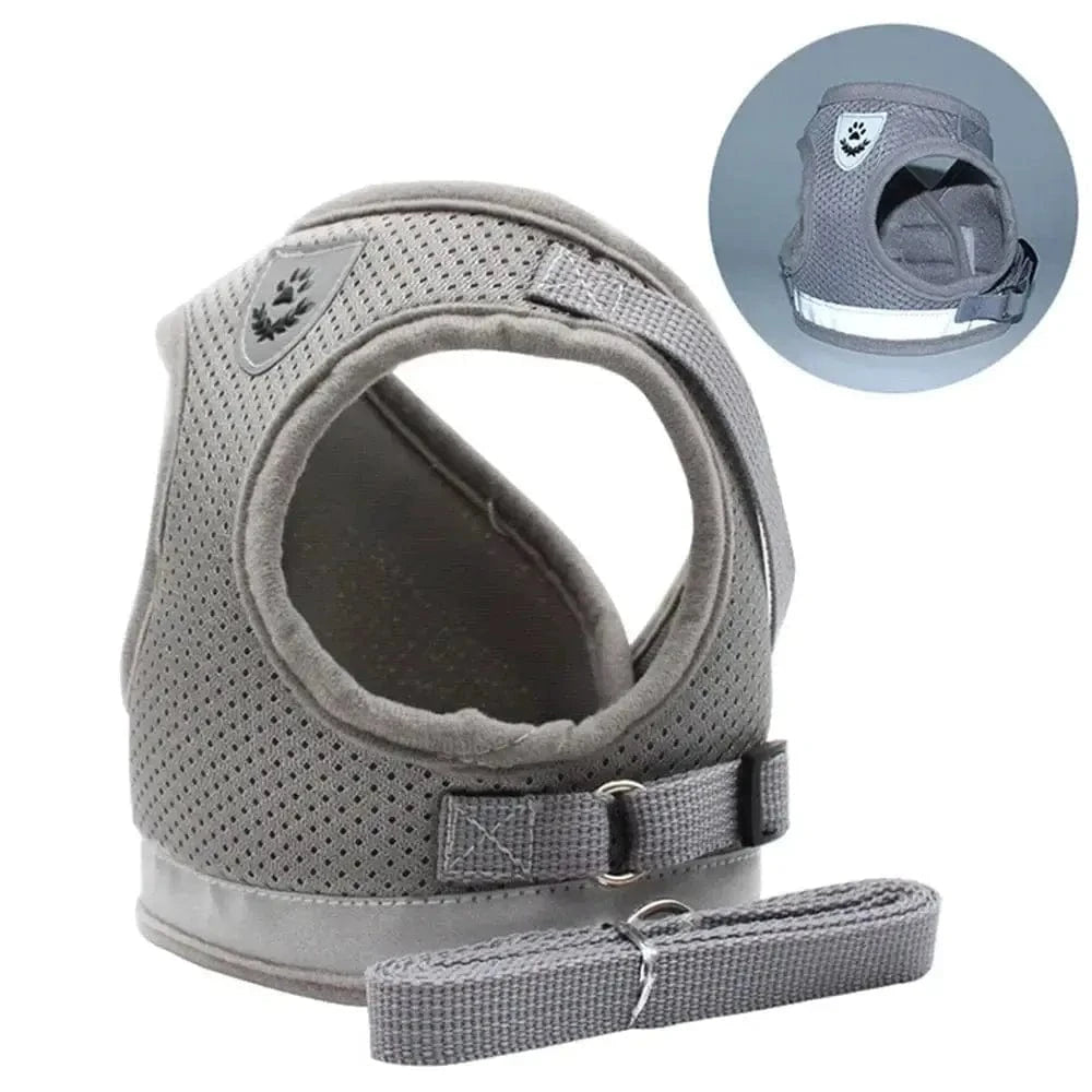 Harnais gilet en maille pour chat - Confort respirant Griffe d'Amour