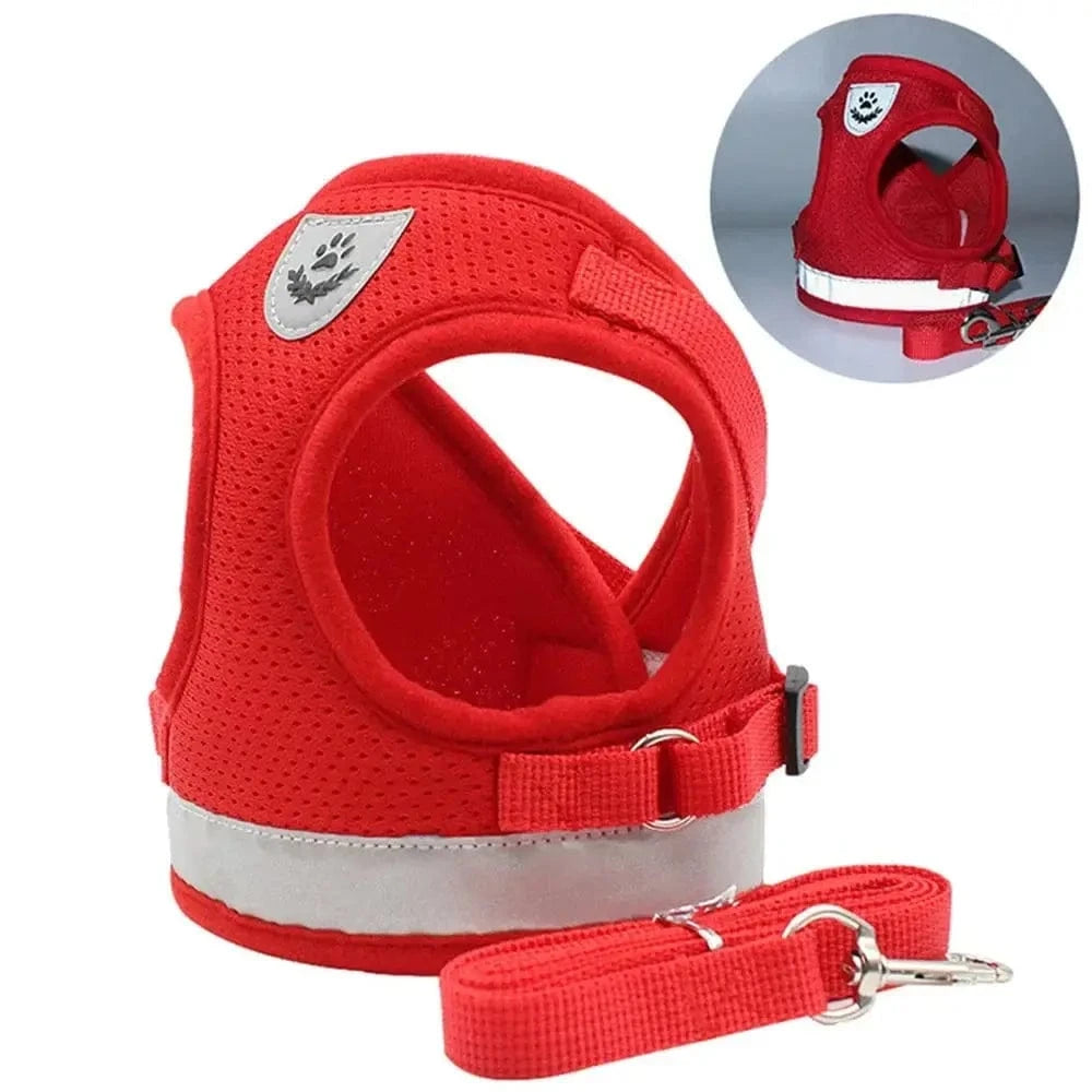 Harnais gilet en maille pour chat - Confort respirant Griffe d'Amour