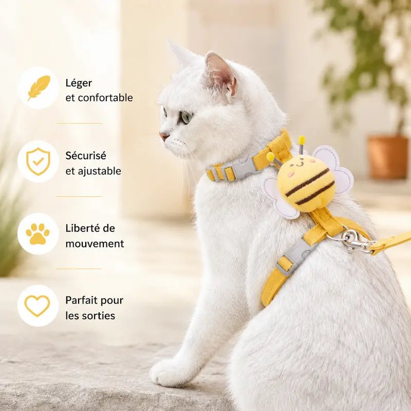 Harnais pour petit chat - Ajustement précis | MiniFit