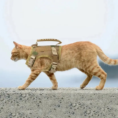 Harnais tactique chat