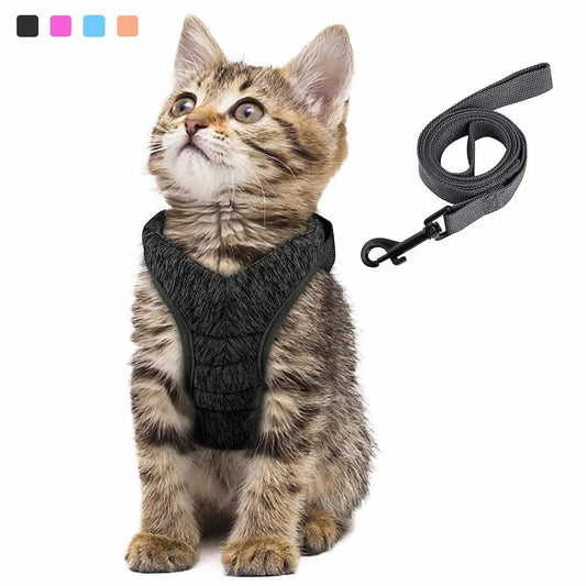 Harnais traction chat anti-fuite - Confort total en balade Griffe d'Amour