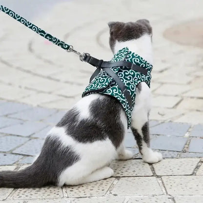 Harnais veste chat