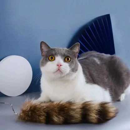 Jouet chat queue de renard