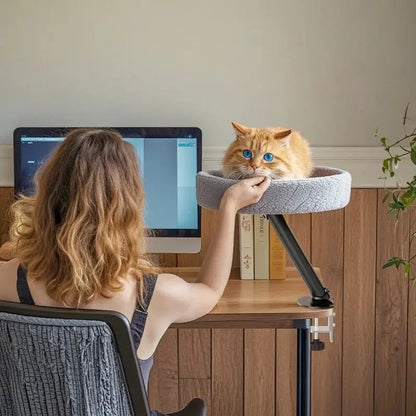 Lit chat bureau