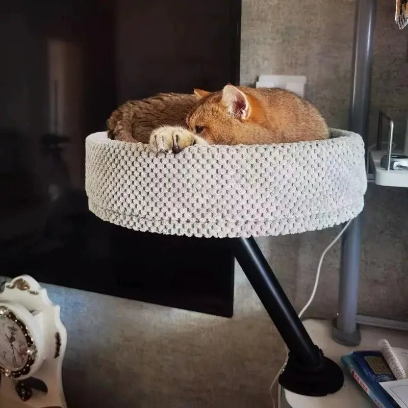 Lit chat bureau – Gain de place & confort | MiaouDesk