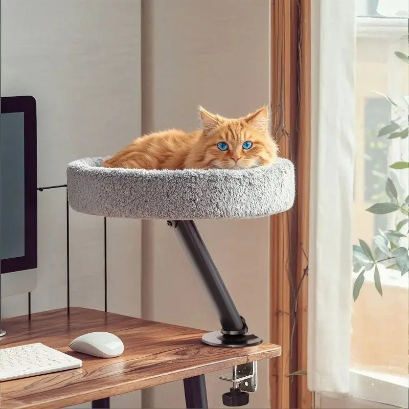 Lit chat bureau – Gain de place & confort | MiaouDesk