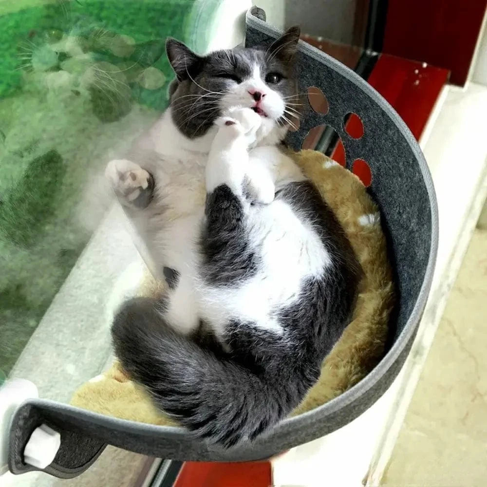 Lit chat fenêtre ventouse - Vue panoramique & confort assuré Griffe d'Amour