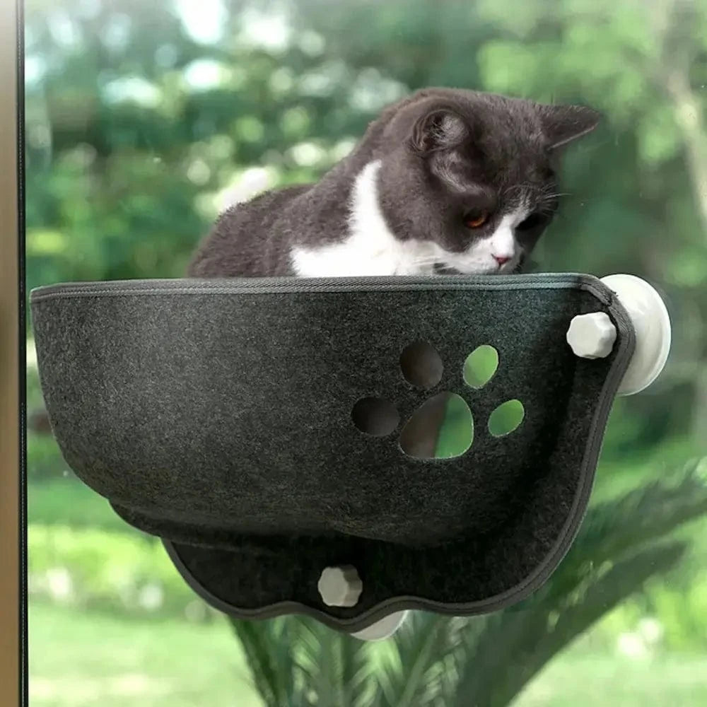 Lit chat fenêtre ventouse - Vue panoramique & confort assuré Griffe d'Amour
