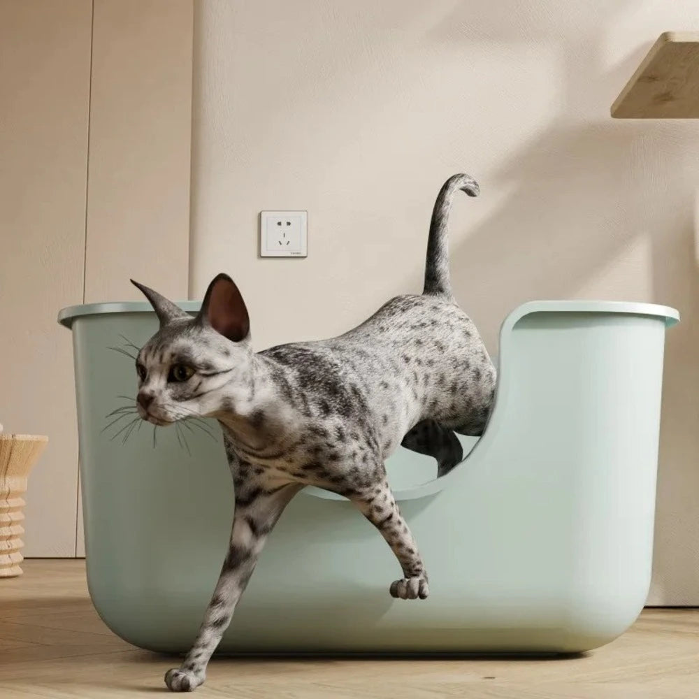 Litière XXL pour Maine Coon – Espace confortable Griffe d'Amour