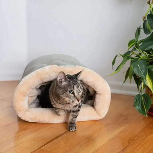 Nid couchage chat