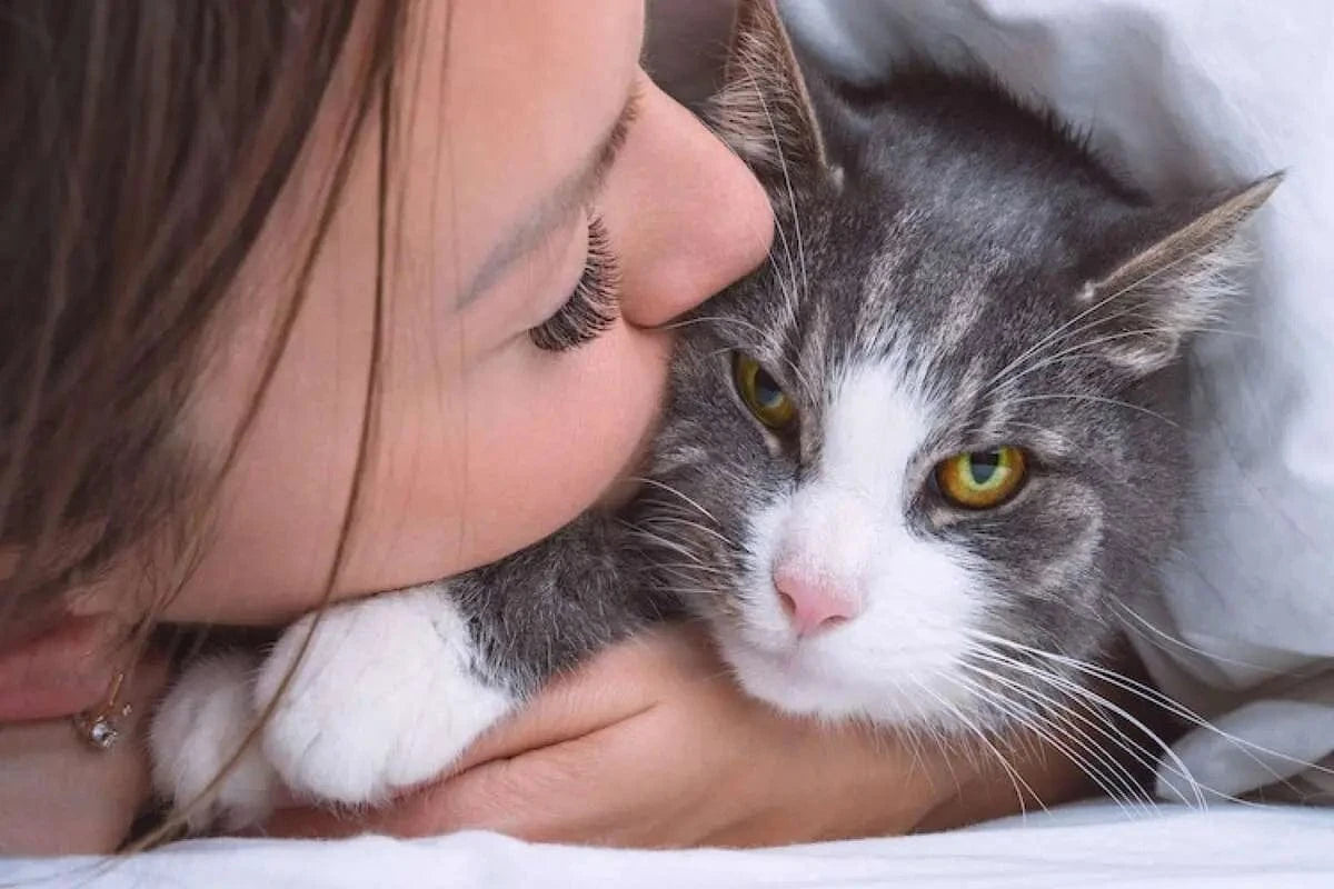 Notre histoire – Griffe d’Amour, boutique dédiée au bien-être des chats