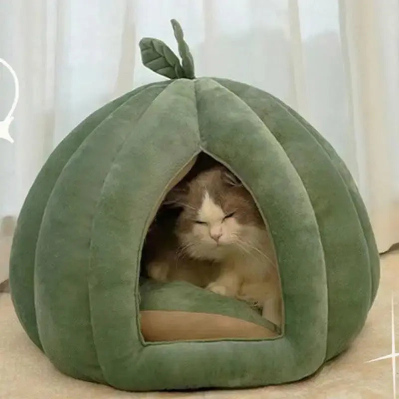 Panier chat citrouille
