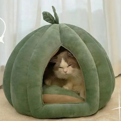 Panier chat citrouille