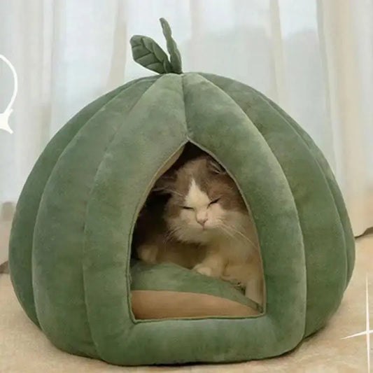 Panier chat citrouille