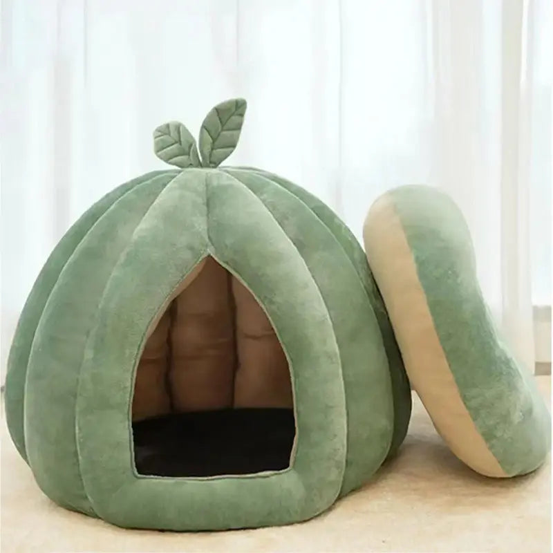 Panier chat citrouille