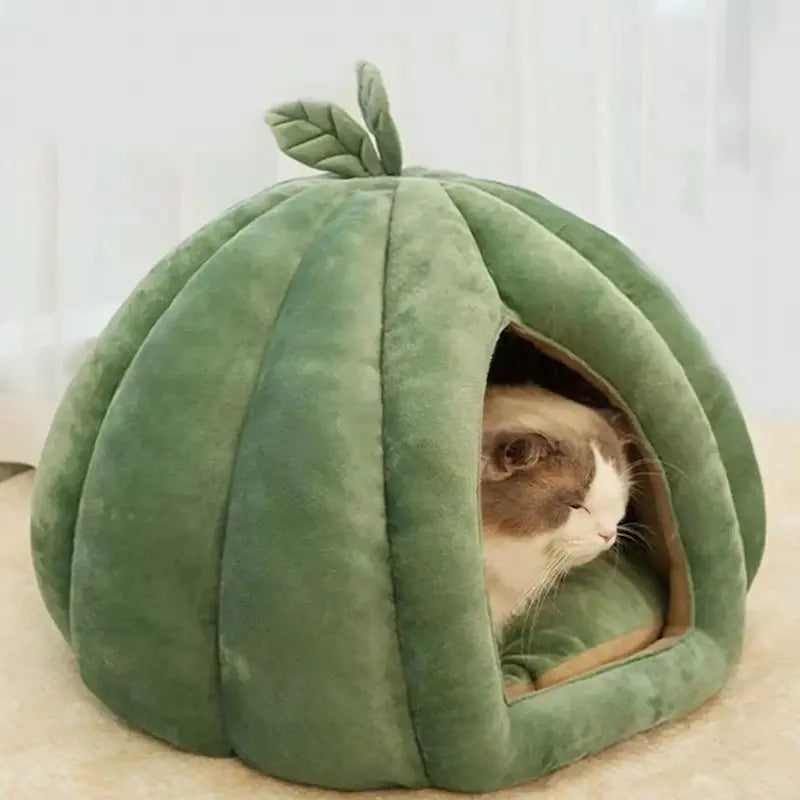 Panier chat citrouille