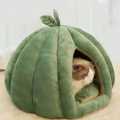 Panier chat citrouille