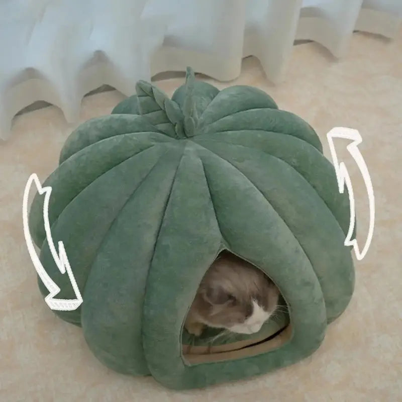 Panier chat citrouille