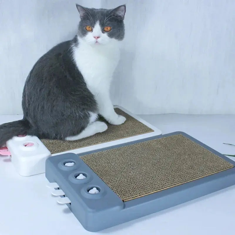 Planche à gratter chat