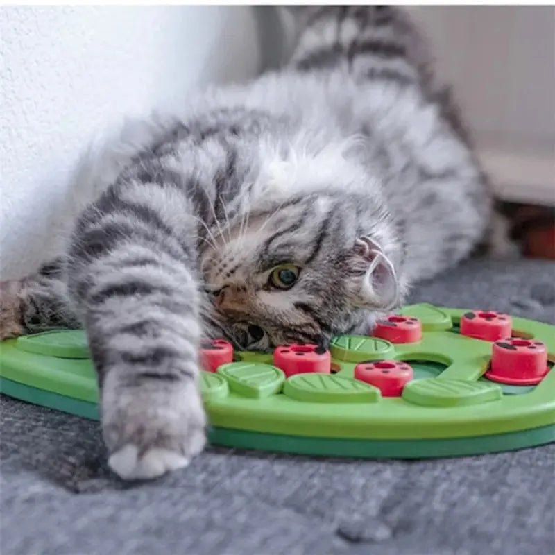 Puzzle friandises chat - Anti-ennui intelligent | PurrPlay