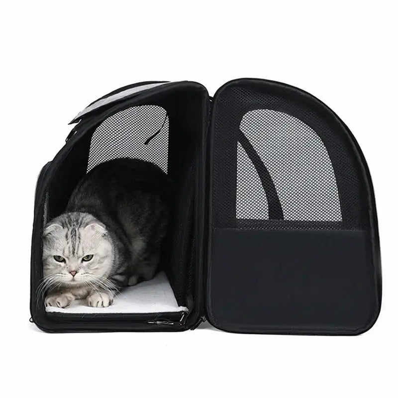 Sac à dos chat extensible avec abri - Confort total | MiaouMove
