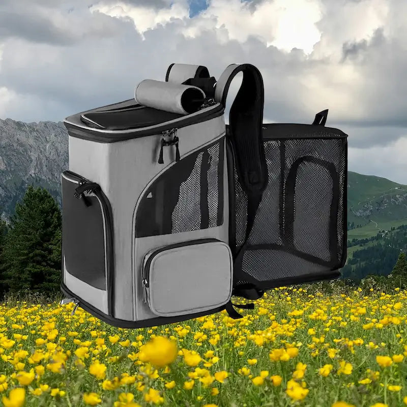 Sac à dos pour chat randonnée