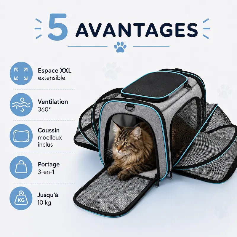 Sac de transport pour chat XXL - Pour grands chats | BigMove