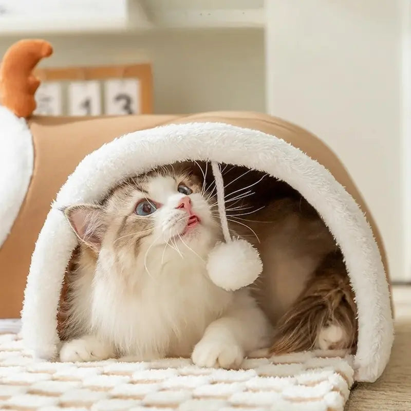 Tapis tunnel chat